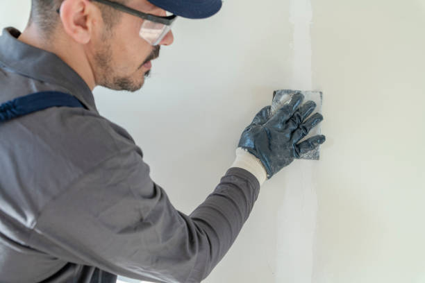 Best Water-Damaged Drywall Repair  in Assumption, IL